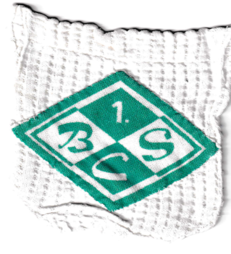 Ein weißes Netz mit grünem Diamant-Logo und der Aufschrift "1. BCS".